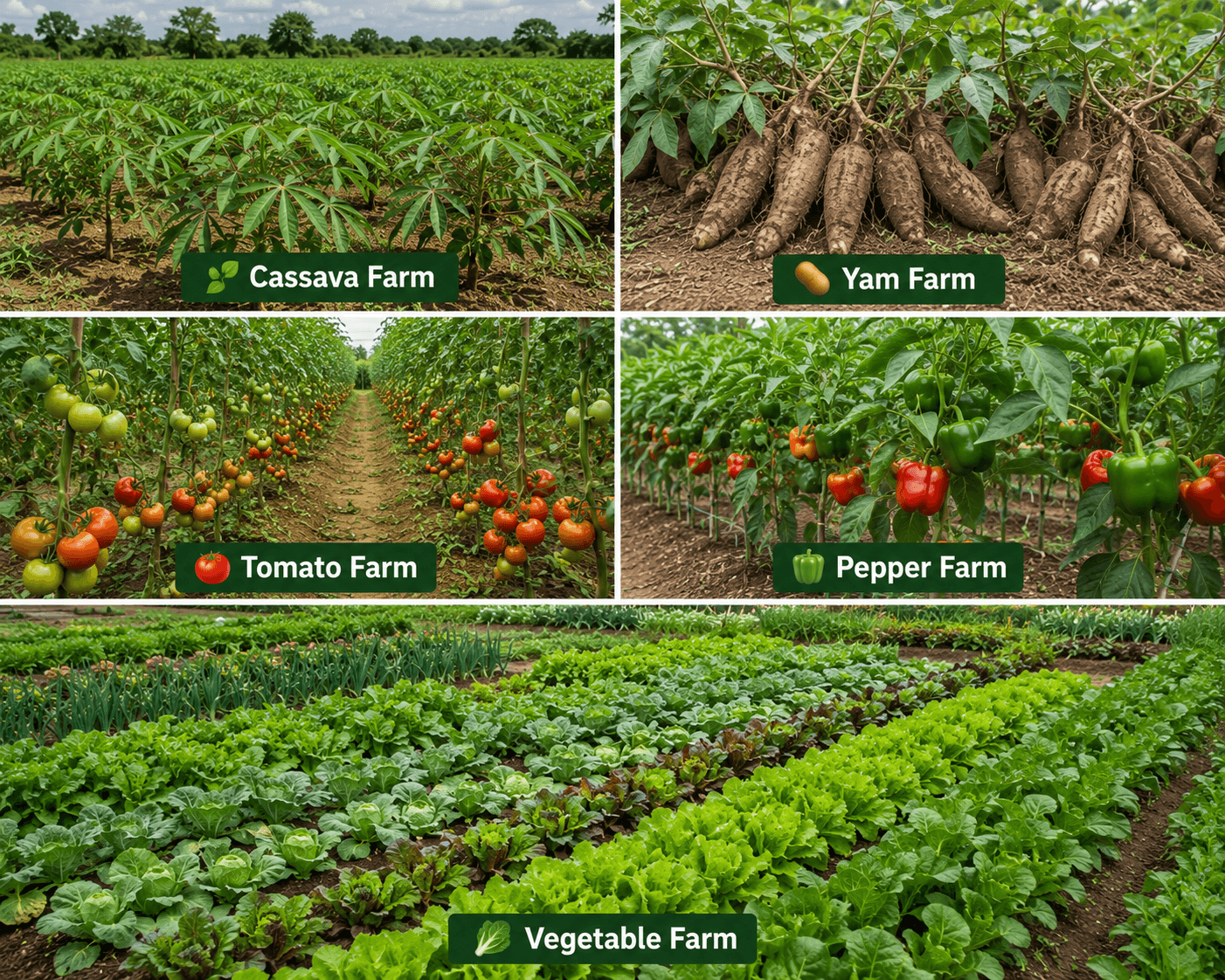 farm2